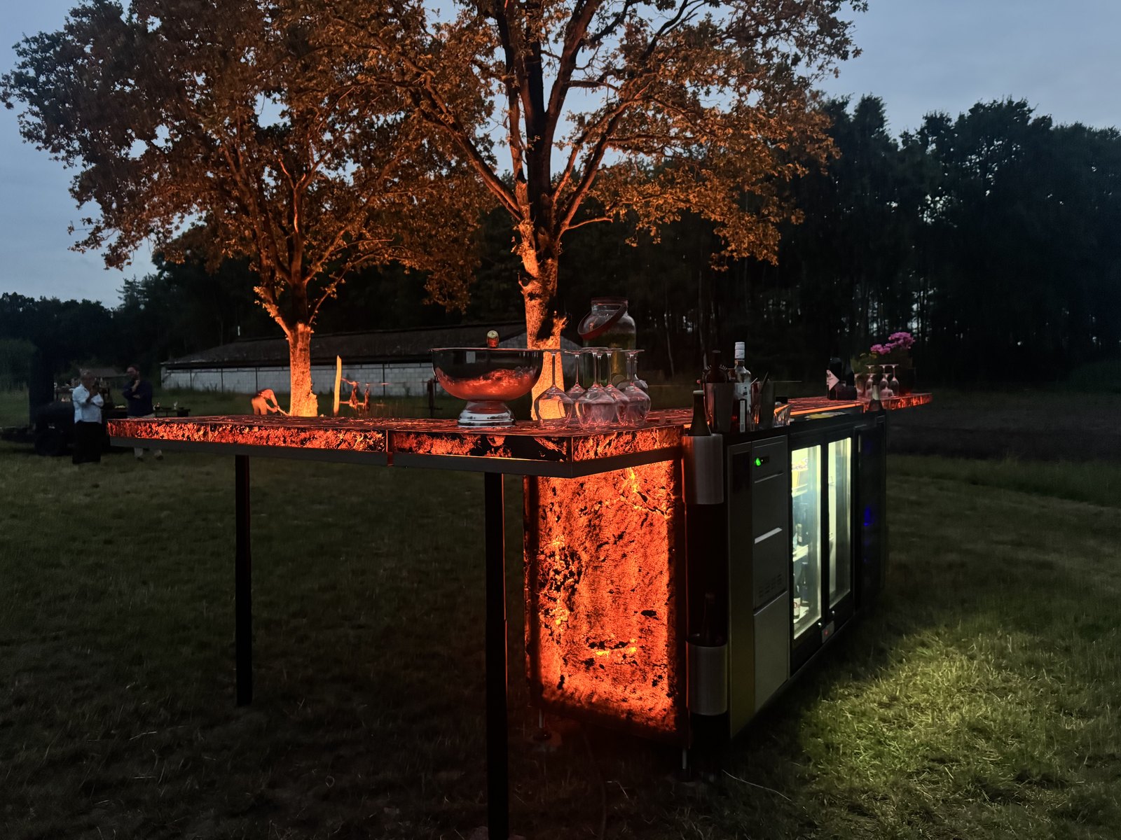 The Magma bar glowing amber at dusk, a lit tree behind it